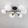 Chehalis Lámpara de Techo - Cristal 12 cm, 15 cm dorado, Negro, 6 luces