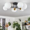 Chehalis Lámpara de Techo - Cristal 12 cm, 15 cm dorado, Negro, 6 luces