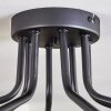 Chehalis Lámpara de Techo - Cristal 10 cm dorado, Negro, 8 luces