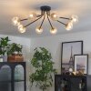 Chehalis Lámpara de Techo - Cristal 10 cm dorado, Negro, 8 luces