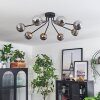 Chehalis Lámpara de Techo - Szkło 10 cm dorado, Negro, 8 luces