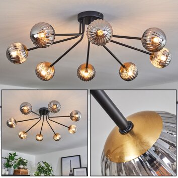 Chehalis Lámpara de Techo - Szkło 10 cm dorado, Negro, 8 luces Chehalis Lámpara de Techo - Szkło 10 cm dorado, Negro, 8 luces