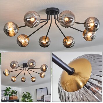 Chehalis Lámpara de Techo - Cristal 12 cm dorado, Negro, 8 luces