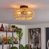 Brandala Lámpara de Techo 30 cm Negro, 2 luces