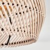 Brandala Lámpara de Techo 30 cm Negro, 2 luces