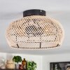 Brandala Lámpara de Techo 30 cm Negro, 2 luces