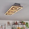 Taboneira Lámpara de Techo LED marrón oscuro, Negro, 3 luces