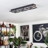 Taboneira Lámpara de Techo LED Crudo, Negro, 3 luces