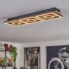 Taboneira Lámpara de Techo LED Crudo, Negro, 3 luces