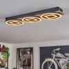 Taboneira Lámpara de Techo LED Crudo, Negro, 3 luces