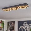 Taboneira Lámpara de Techo LED Crudo, Negro, 3 luces