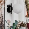 Chehalis Aplique - Cristal 12 cm Blanca, 1 luz
