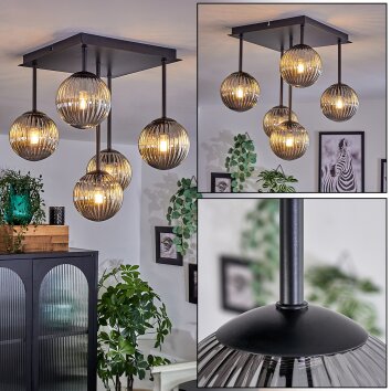 Chehalis Lámpara de Techo - Cristal 12 cm Ahumado, 5 luces