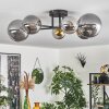 Chehalis Lámpara de Techo - Szkło 10 cm, 12 cm, 15 cm dorado, Negro, 6 luces