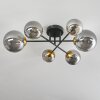 Chehalis Lámpara de Techo - Szkło 10 cm, 12 cm, 15 cm dorado, Negro, 6 luces