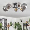 Chehalis Lámpara de Techo - Szkło 10 cm, 12 cm, 15 cm dorado, Negro, 6 luces
