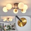 Chehalis Lámpara de Techo - Cristal 12 cm dorado, Negro, 6 luces