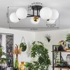 Chehalis Lámpara de Techo - Cristal 12 cm dorado, Negro, 6 luces