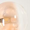 Remaisnil Lámpara de Pie - Szkło 15 cm Colores ámbar, Transparente, 5 luces