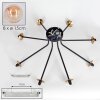 Chehalis Lámpara de Techo - Cristal 15 cm dorado, Negro, 8 luces