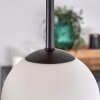 Chehalis Lámpara de Techo - Cristal 12 cm Crudo, Negro, 5 luces