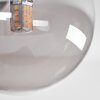 Chehalis Lámpara de Techo - Szkło 10 cm, 12 cm, 15 cm Ahumado, 10 luces