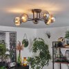 Chehalis Lámpara de Techo - Szkło 10 cm Ahumado, 6 luces