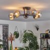 Chehalis Lámpara de Techo - Szkło 10 cm Ahumado, 6 luces