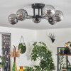 Chehalis Lámpara de Techo - Szkło 10 cm Ahumado, 6 luces