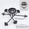 Chehalis Lámpara de Techo - Szkło 10 cm Ahumado, 6 luces