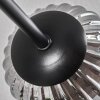 Chehalis Lámpara de Techo - Szkło 10 cm Ahumado, 6 luces