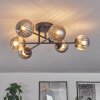 Chehalis Lámpara de Techo - Szkło 10 cm Ahumado, 6 luces