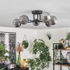Chehalis Lámpara de Techo - Szkło 10 cm Ahumado, 6 luces