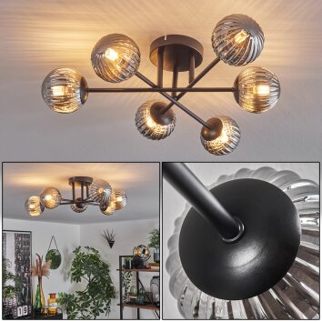 Chehalis Lámpara de Techo - Cristal 10 cm Ahumado, 6 luces