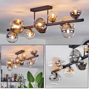 Chehalis Lámpara de Techo - Cristal 10 cm, 12 cm, 15 cm Colores ámbar, Transparente, Ahumado, 10 luces