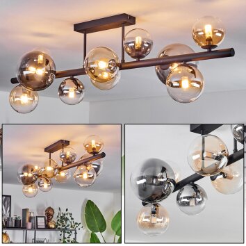 Chehalis Lámpara de Techo - Cristal 10 cm, 12 cm, 15 cm Colores ámbar, Transparente, Ahumado, 10 luces