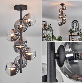 Chehalis Lámpara de Techo - Cristal 12 cm Transparente, Ahumado, 8 luces