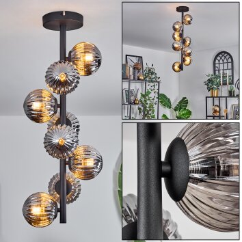 Chehalis Lámpara de Techo - Cristal 10 cm Ahumado, 8 luces