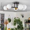 Chehalis Lámpara de Techo - Szkło 10 cm dorado, Negro, 6 luces