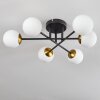 Chehalis Lámpara de Techo - Szkło 10 cm dorado, Negro, 6 luces