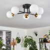 Chehalis Lámpara de Techo - Szkło 10 cm dorado, Negro, 6 luces