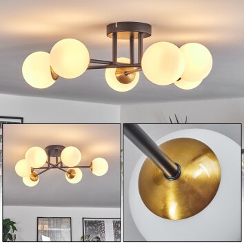 Chehalis Lámpara de Techo - Szkło 10 cm dorado, Negro, 6 luces