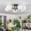 Chehalis Lámpara de Techo - Cristal 12 cm, 15 cm dorado, Negro, 6 luces