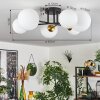 Chehalis Lámpara de Techo - Cristal 12 cm, 15 cm dorado, Negro, 6 luces