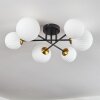 Chehalis Lámpara de Techo - Cristal 12 cm, 15 cm dorado, Negro, 6 luces