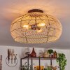 Brandala Lámpara de Techo 50 cm Negro, 3 luces