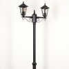 Loria Candelabro Negro, 2 luces