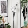 Bernado Lámpara de Pie - Szkło 10 cm Blanca, 6 luces