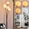 Bernado Lámpara de Pie - Cristal 10 cm Blanca, 5 luces