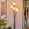 Bernado Lámpara de Pie - Cristal 10 cm Blanca, 5 luces